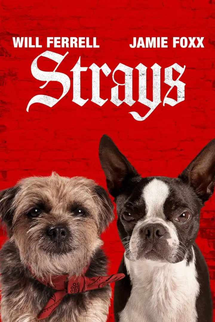 Strays (Hindi + English) Dual Audio Hollywood Movie